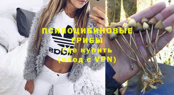 2c-b Бронницы
