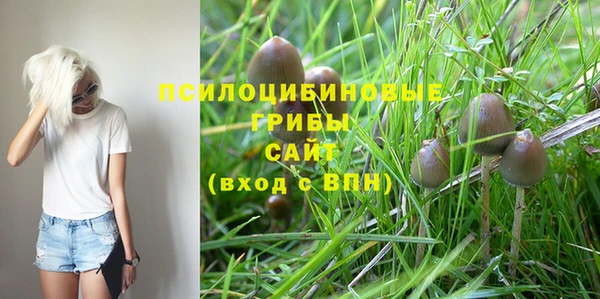 2c-b Бронницы