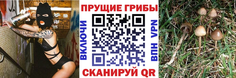 купить наркоту Ворсма Галлюциногенные грибы прущие грибы